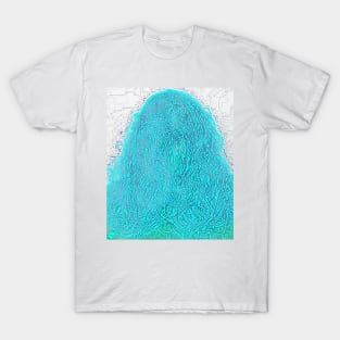 ToddSquatch 5 T-Shirt